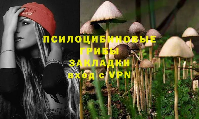 наркошоп  МЕГА tor  Псилоцибиновые грибы Psilocybe  Усолье-Сибирское 